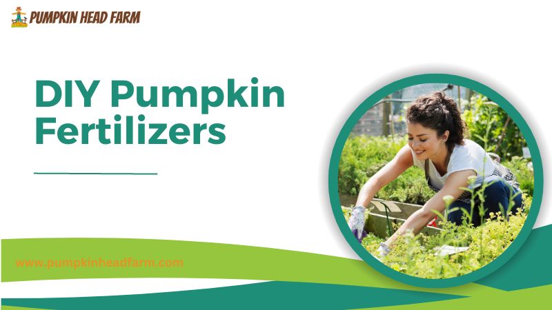 DIY Pumpkin Fertilizers