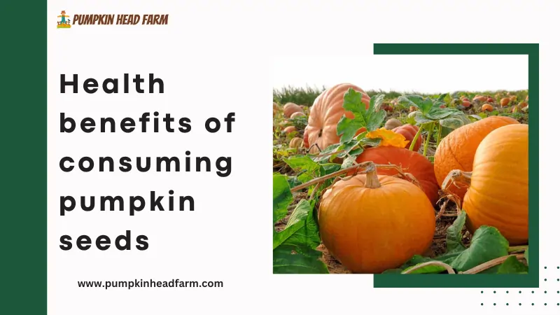 Health benefits of consuming pumpkin seeds