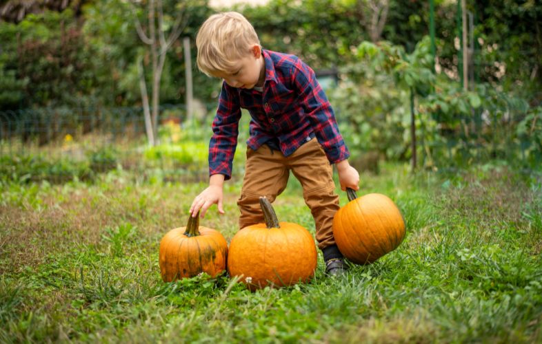 PUMPKIN GARDENING IN DIFFERENT CLIMATE ZONES