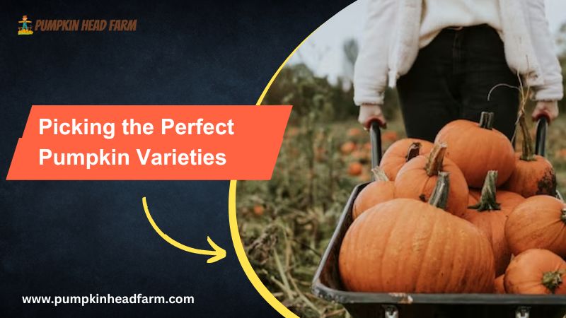 Picking the Perfect Pumpkin Varieties: A Climate-Based Guide