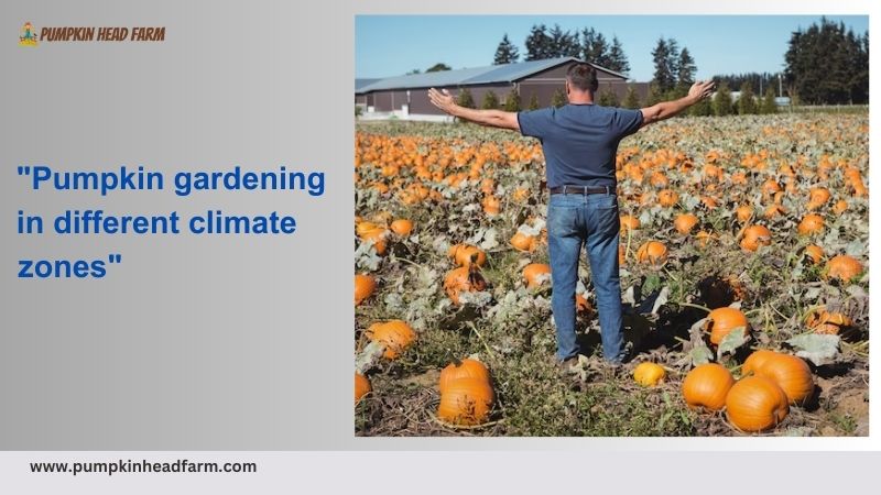 Pumpkin Gardening in Different Climate Zones