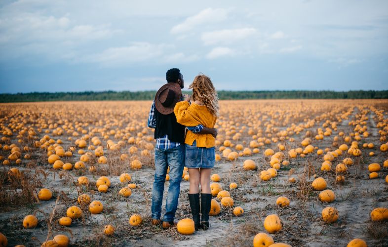SUCCESSFUL PUMPKIN CULTIVATION AT HOME