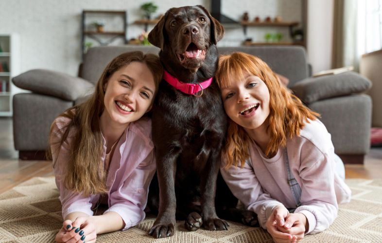 10 BEST DOG BREEDS FOR FAMILIES WITH CHILDREN