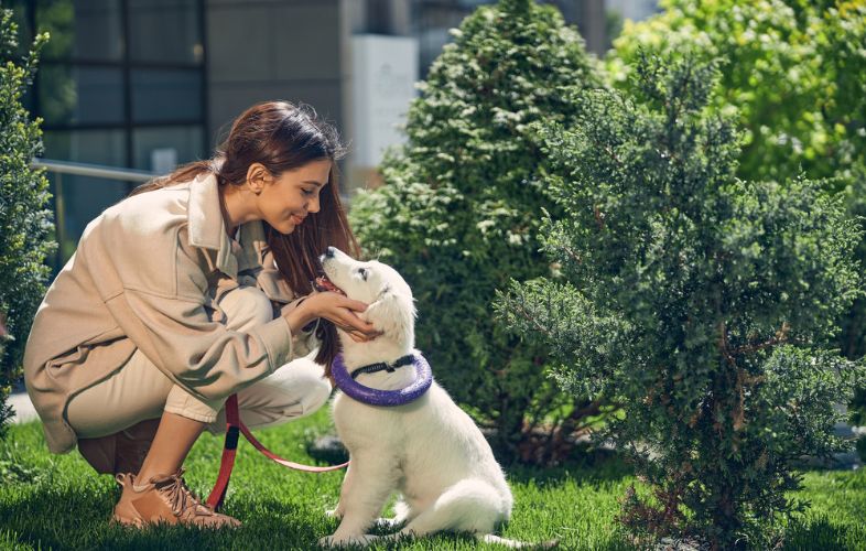 6 DOG-FRIENDLY PLANTS FOR YOUR GARDEN