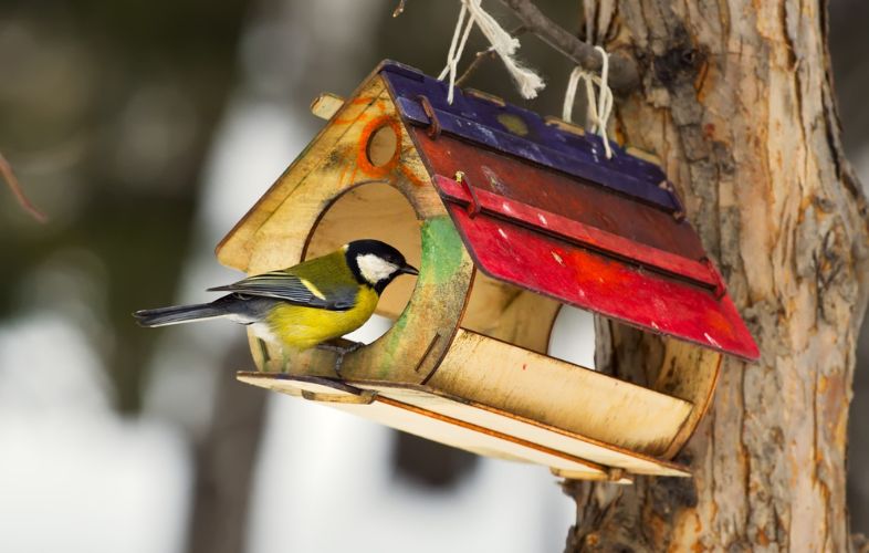 7 BEST BIRD FEEDERS FOR HUMMINGBIRDS (1)