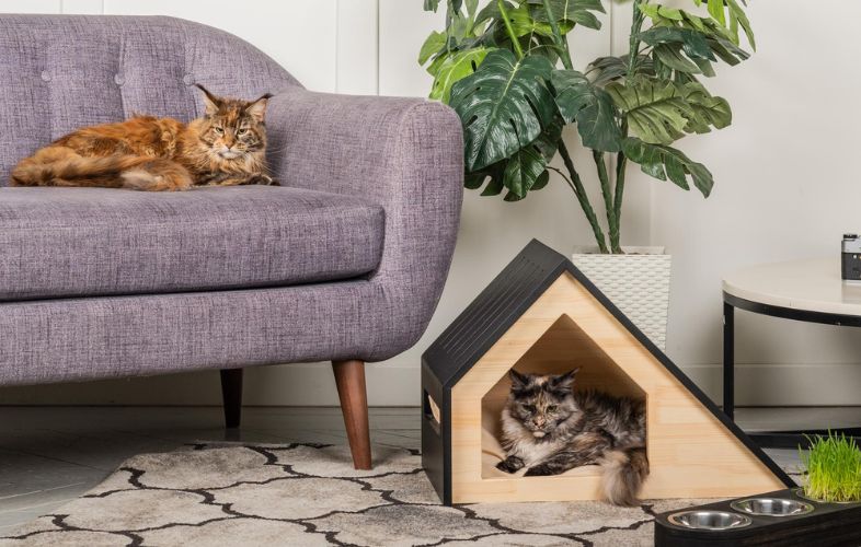 7 CAT FURNITURE PIECES THAT HARMONIZE WITH YOUR HOME DECOR