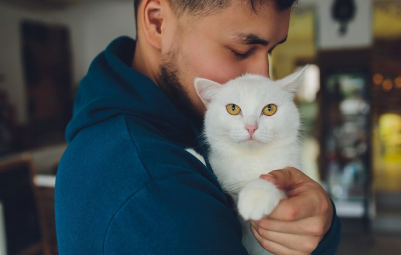 how-to-deal-with-a-cat-with-separation-anxiety-10-best-tips