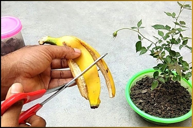 PERFECT FOR GARDENING
