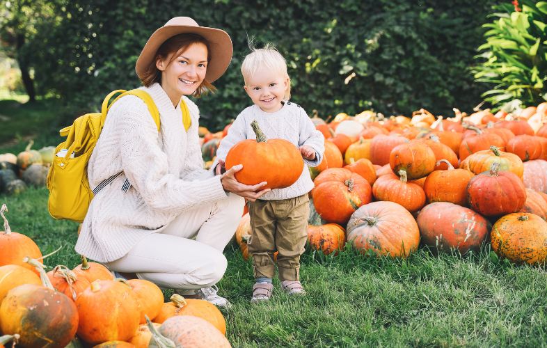 PUMPKIN CULTIVATION IN SMALL BACKYARD GARDENS