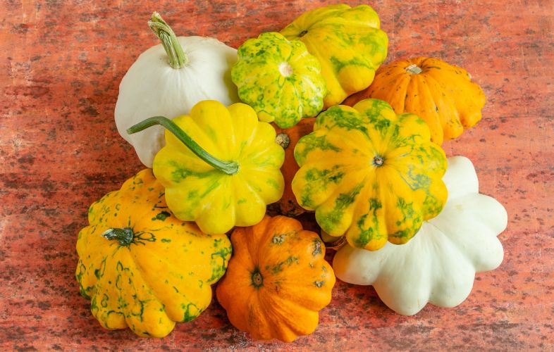 PUMPKIN VARIETIES