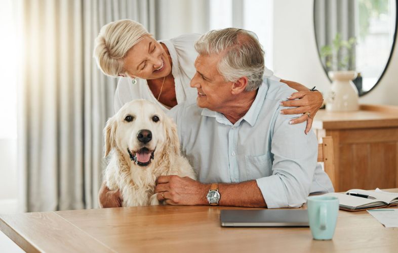 UNLOCKING THE JOY 7 THINGS TO EXPECT WHEN ADOPTING SENIOR PETS