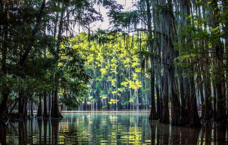 Most Beautiful Places in Texas, According to a Born and Raised Texan