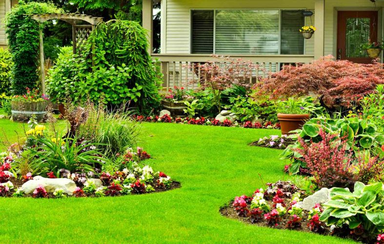Small Front Yard Landscaping Ideas That Make a Big Impact