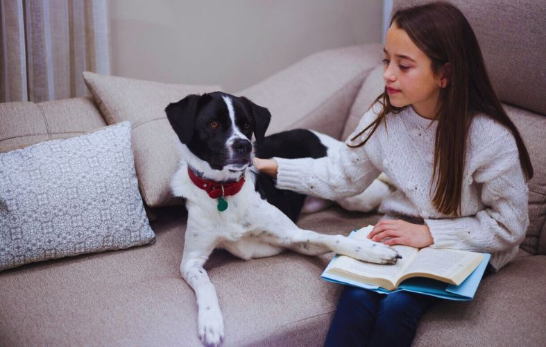 How To spend Quality Time With Your Dog Despite Busy Schedule