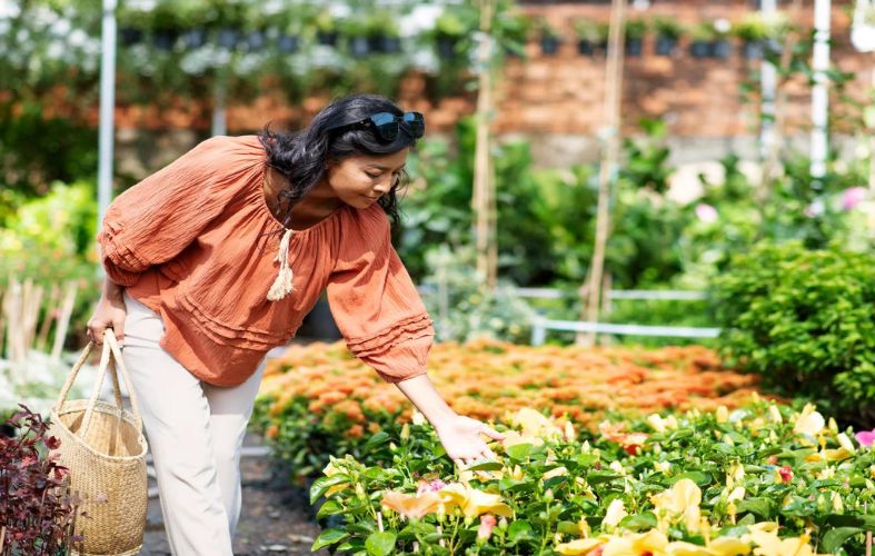 10 LOW-MAINTENANCE PLANTS FOR EASY LANDSCAPING